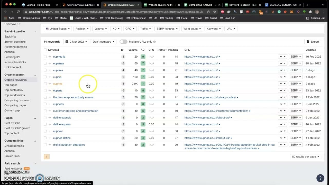 Free SEO Audit – Eupnea.co.uk – How to Improve Website Ranking