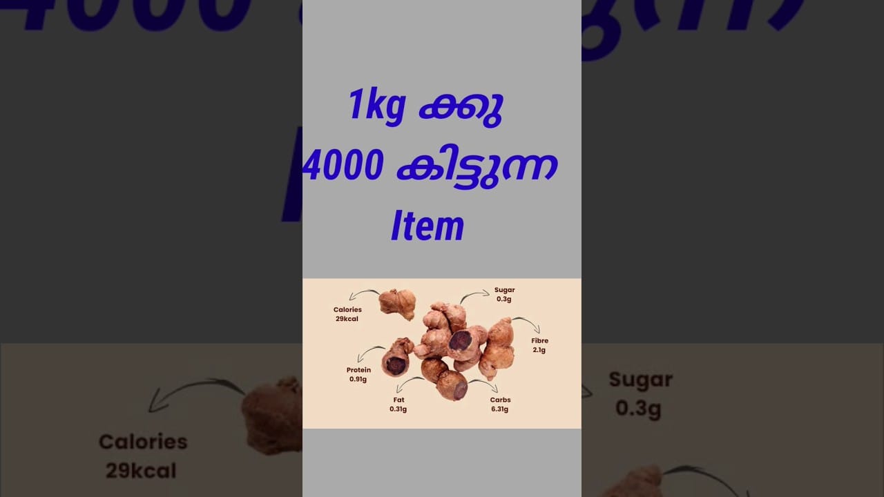 വീടിന്റെ ടെറസിൽ ചെയ്യാൻ അടിപൊളി Business | Home based business ideas malayalam