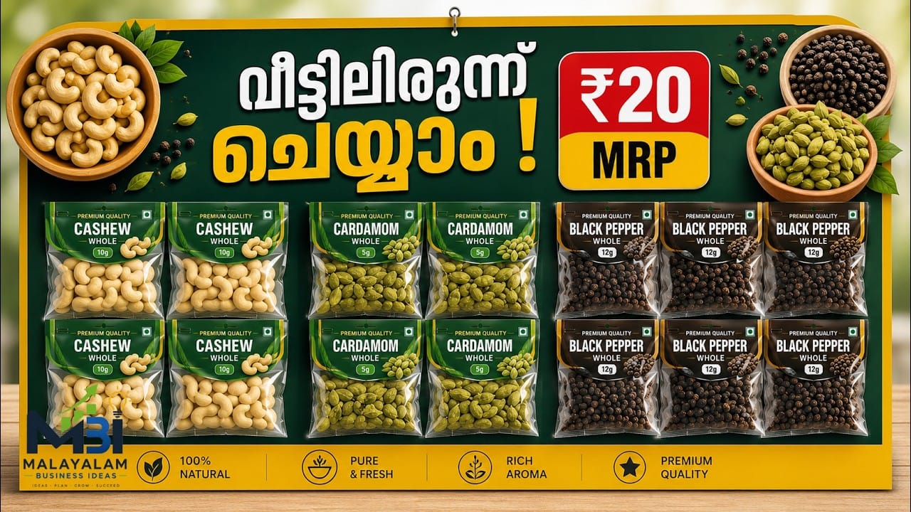 വീട്ടിലിരുന്ന് ചെയ്യാം ഈ ഫുഡ് ബിസിനസ്സ്! | ₹20 Packets Repackaging Business | Kerala Market Price