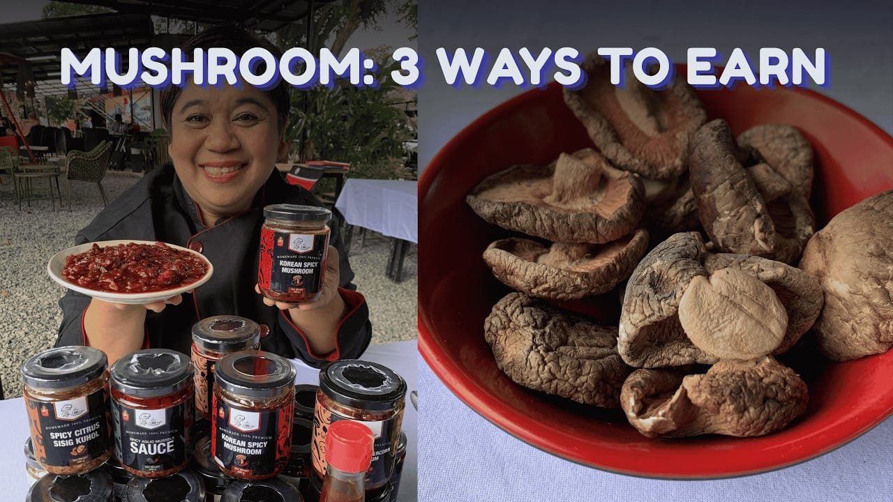 Turn Mushrooms Into 3 Products You Can Sell