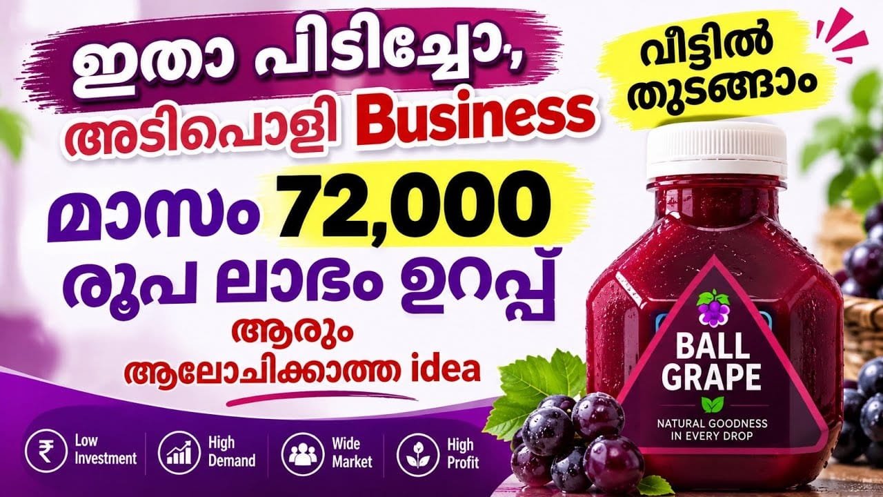 ഇതാ പിടിച്ചോ… അധികം ആരും ആലോചിക്കാത്ത.. വീട്ടിൽ തുടങ്ങാൻ പറ്റുന്ന അടിപൊളി Business |Business ideas