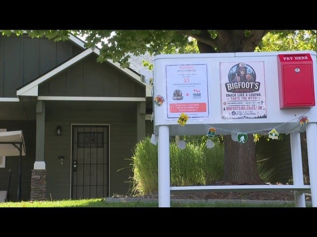 Meridian woman challenges city rules in home-based baking business dispute